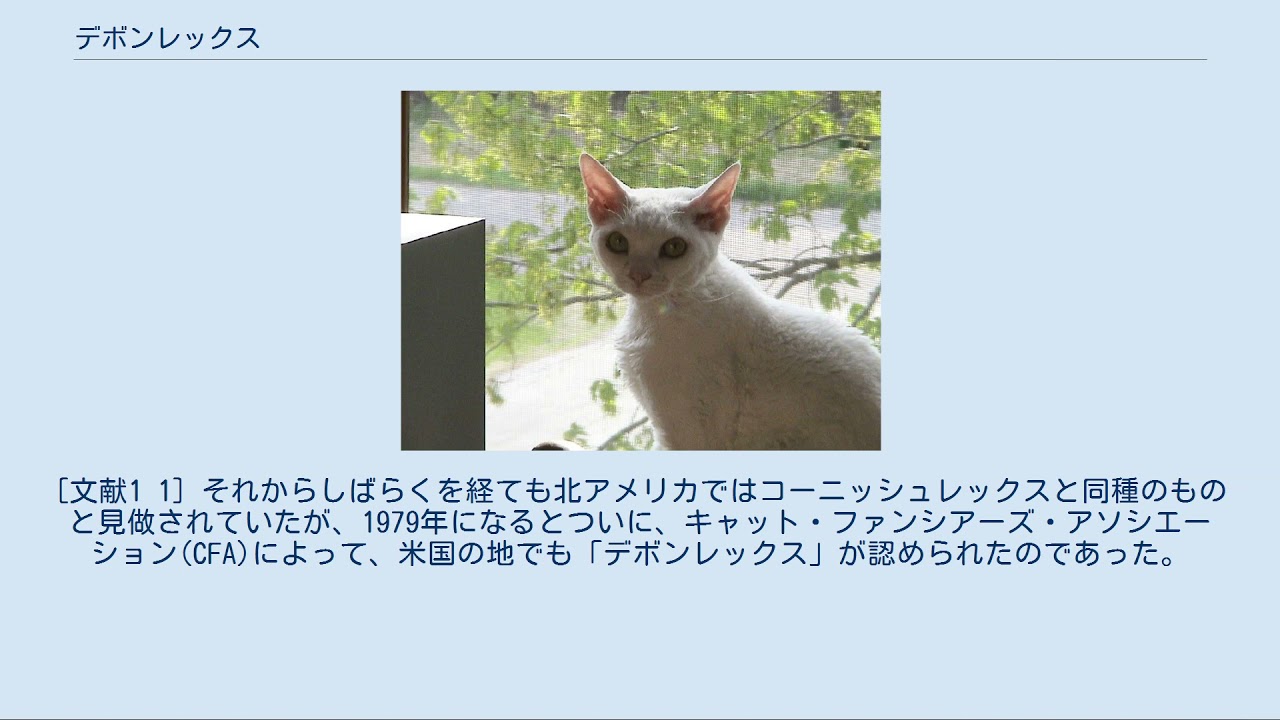 デボンレックス