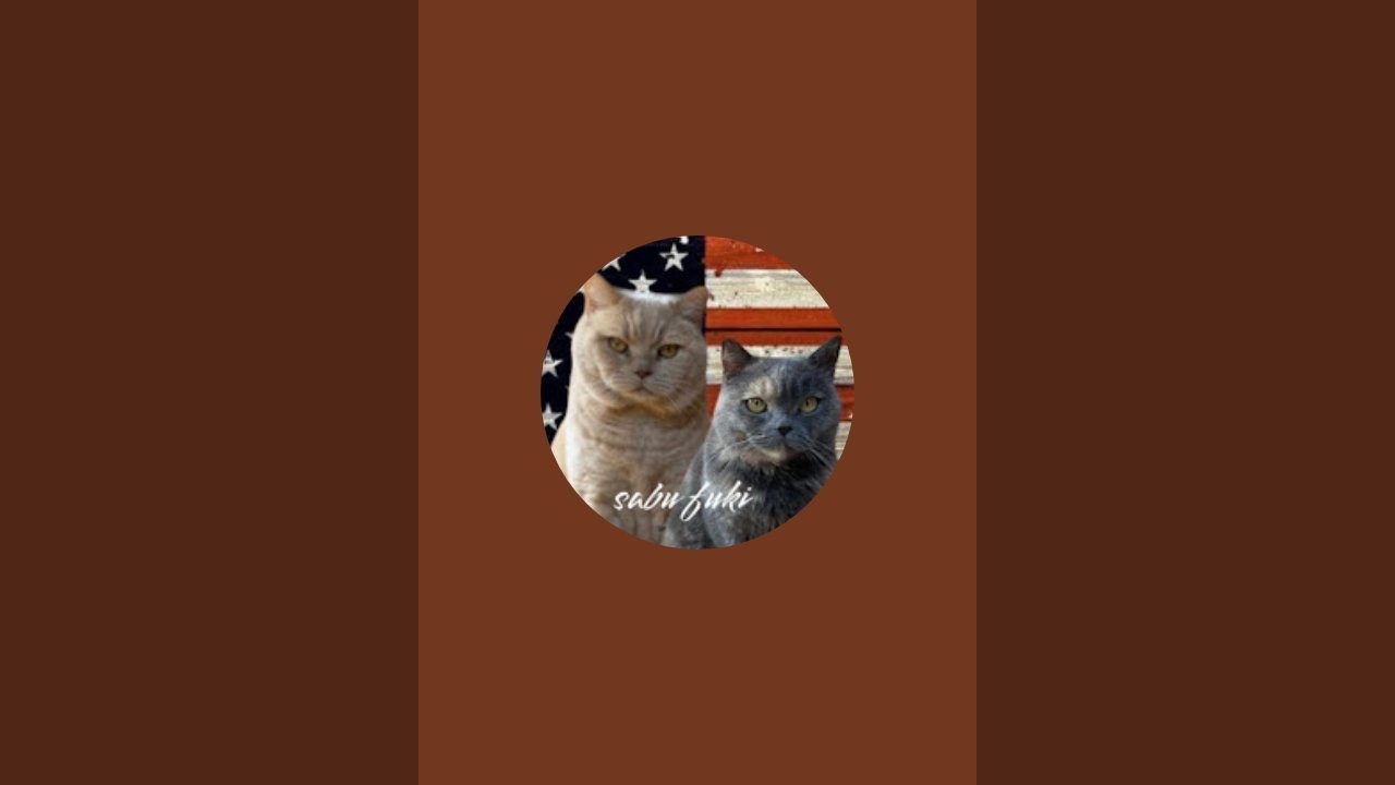 深夜のお家猫カフェライブ配信　４９３