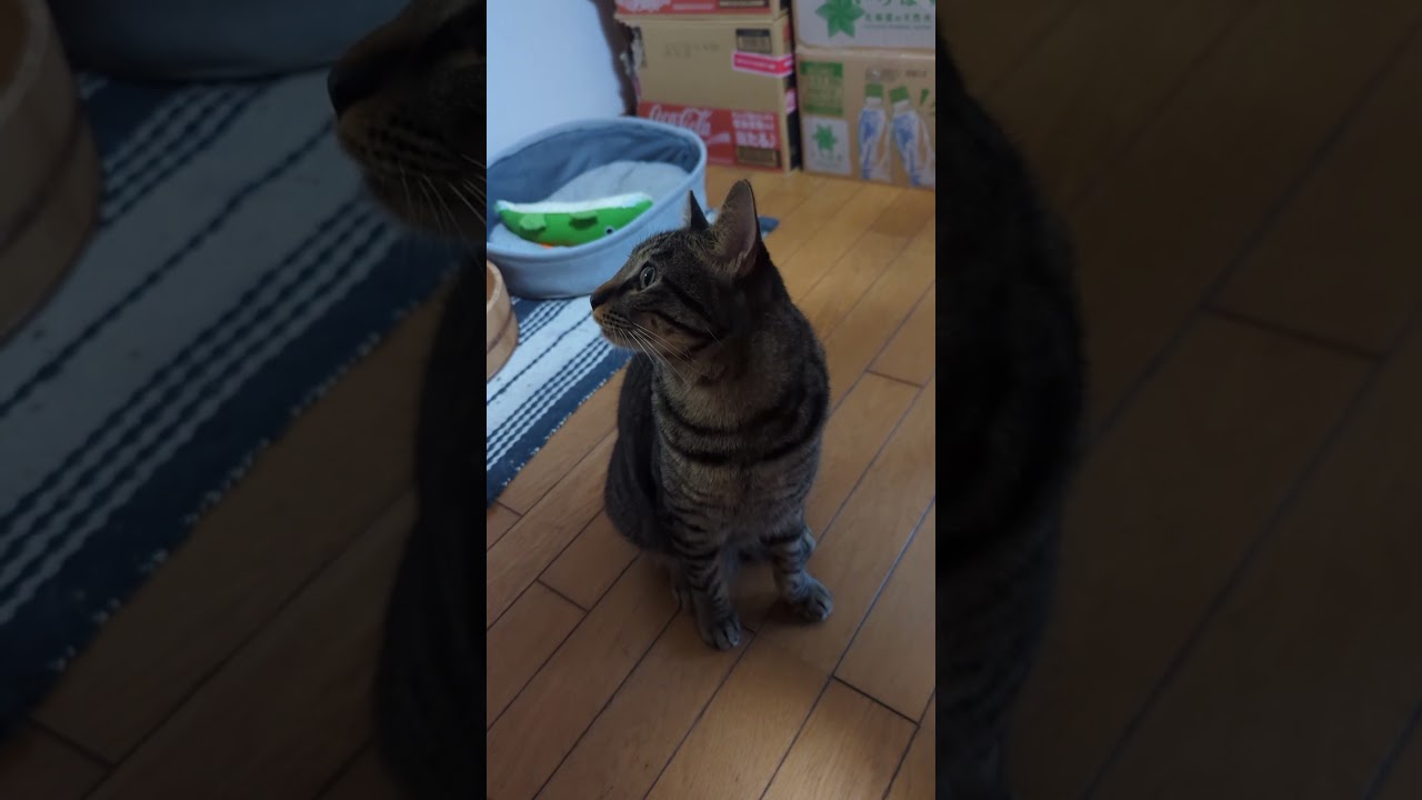 【爺】あだ名はジーターマン