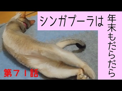 【シンガプーラ】年末ってやることないね