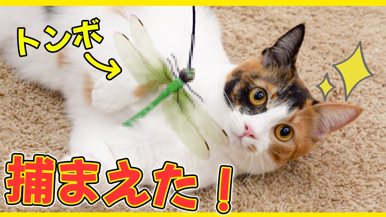 あまりにもリアルすぎる猫のおもちゃが売られていました