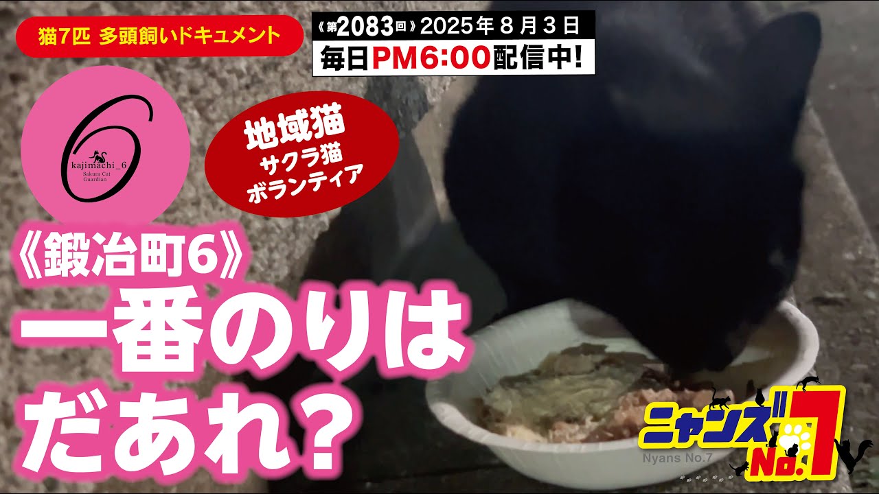 《第2083回》 《鍛冶町6》一番のりは だあれ？