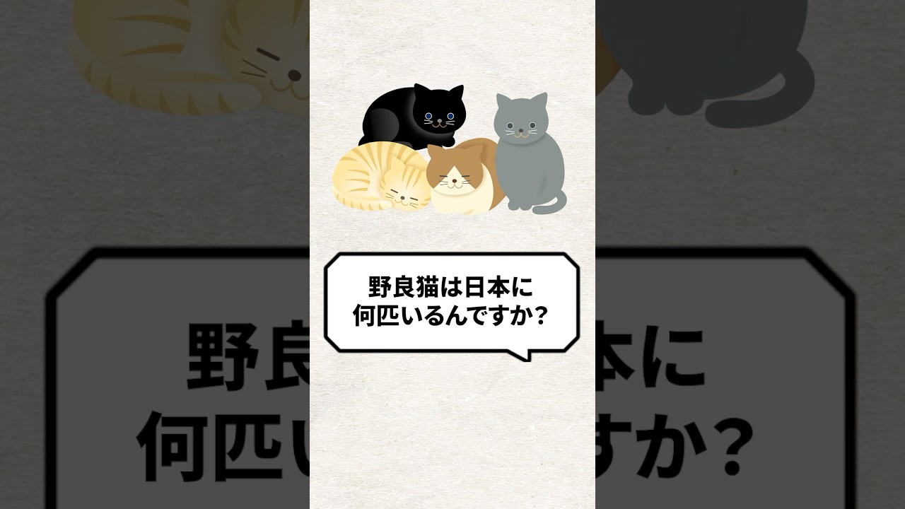 Q：野良猫は日本に何匹いますか？ #猫 #野良猫 #保護猫 #ねこ