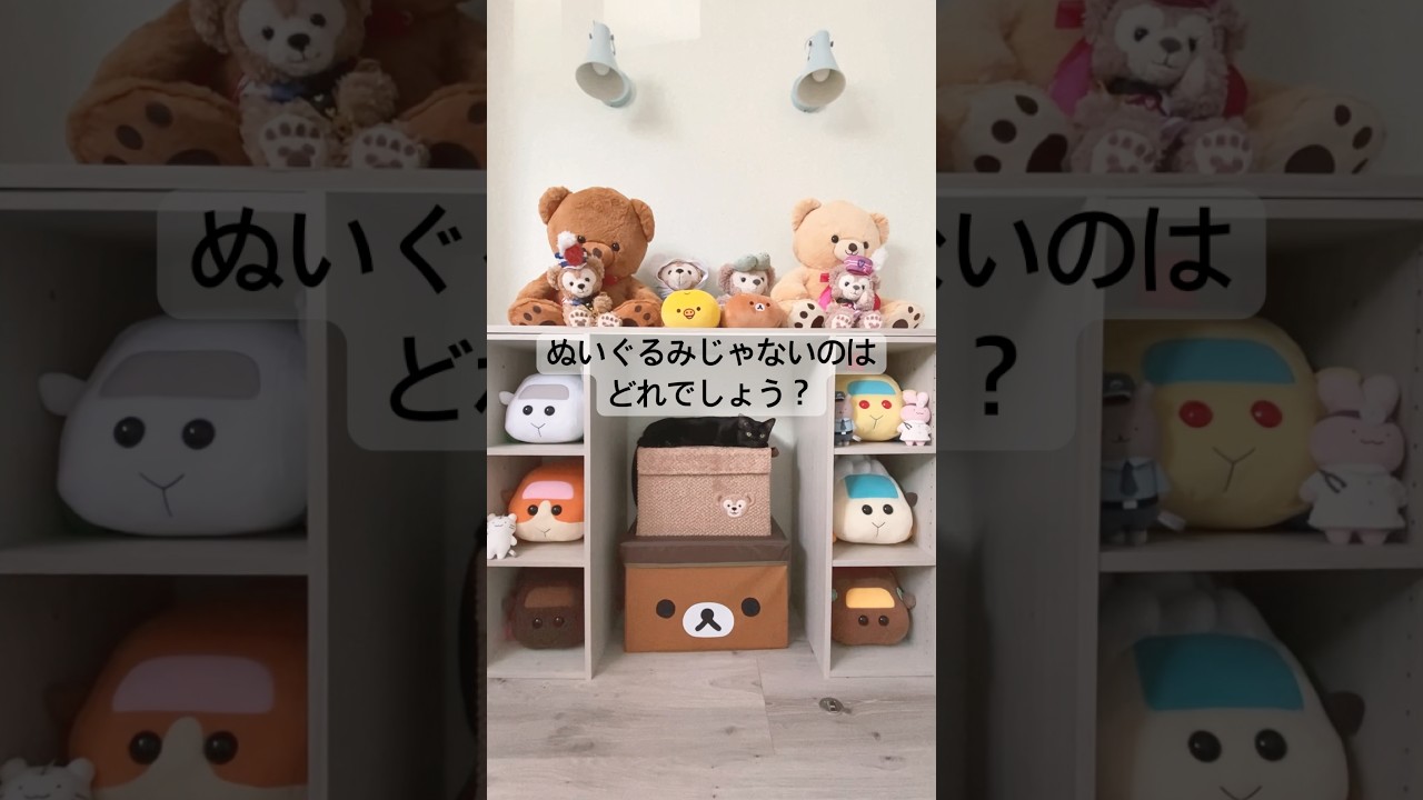 紛れる黒猫　#黒猫 #ボンベイ #猫 #cat #bombay #猫のいる暮らし #猫のいる生活 #猫好きさんと繋がりたい