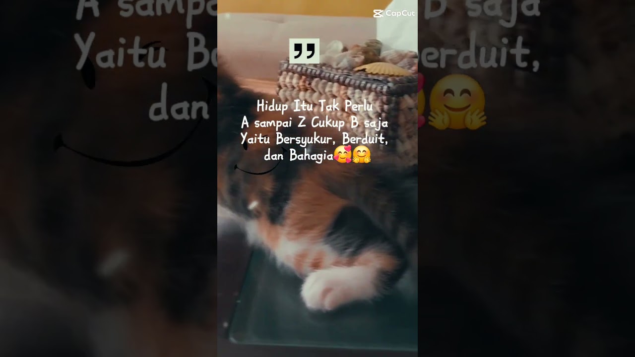 Hidup Itu ... - 22 Juli 2025 #cat #kucing #kucinglucu #kucingku