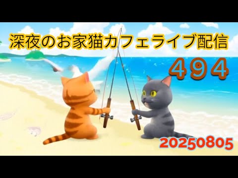 深夜のお家猫カフェライブ配信 ４９４
