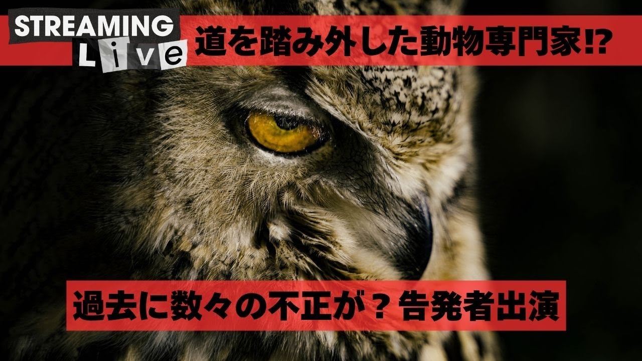 【パンク○○】動物界隈超有名人の過去の不正？告発者さんから話を聞きます