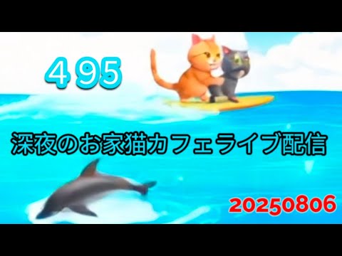 深夜のお家猫カフェライブ配信