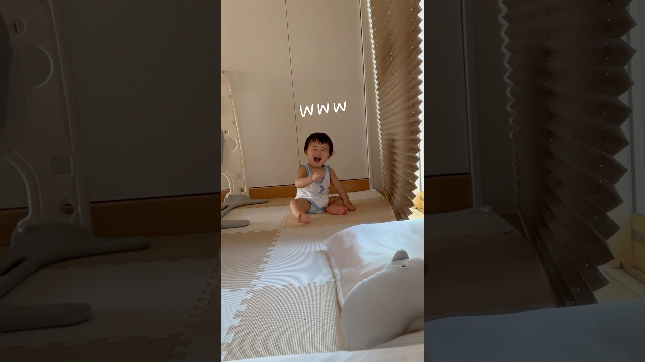 いたずら大好き👶🏻‼️ #赤ちゃん #1歳 #baby #保護猫 #ロシアンブルー #cat