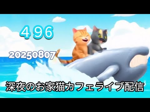 深夜のお家猫カフェライブ配信 ４９６