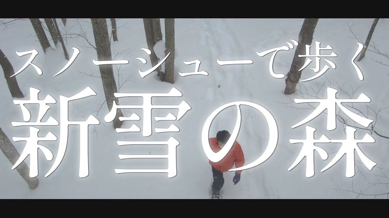 【スノーシュー】北海道にある新雪の森をスノーシューでトレッキング。大の字で倒れるやつがやってみたかった【パウダースノー】