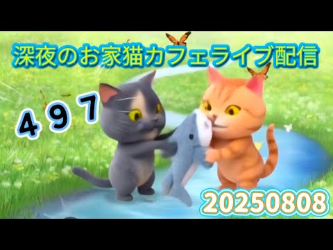 深夜のお家猫カフェライブ配信 ４９７