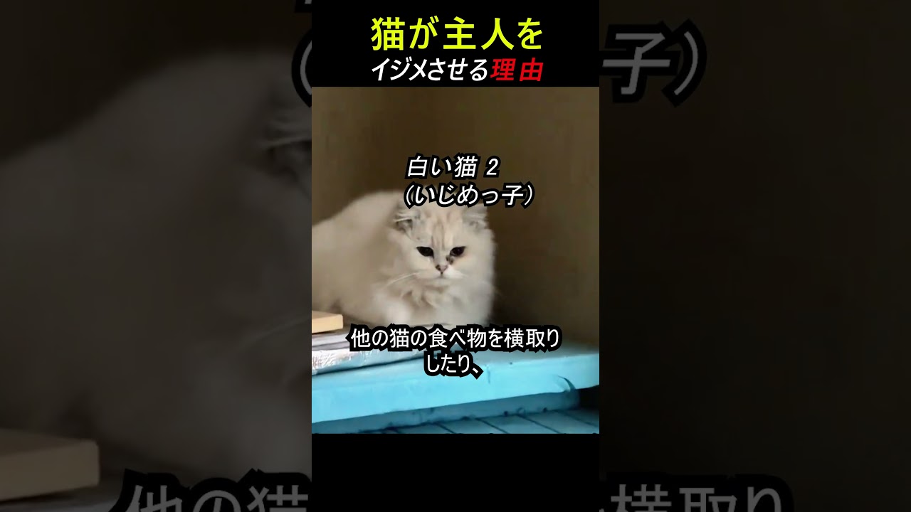 猫たちがイジメさせる理由
