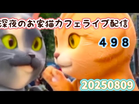 深夜のお家猫カフェライブ配信 ４９８
