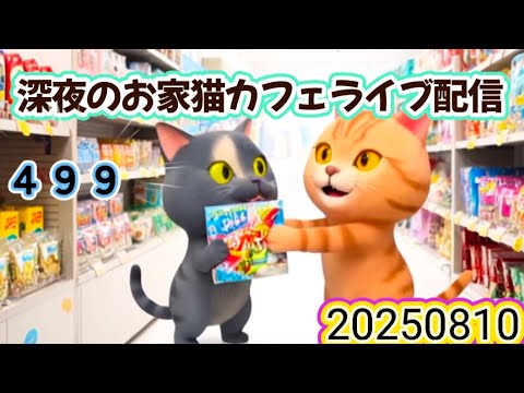 深夜のお家猫カフェライブ配信 ４９９