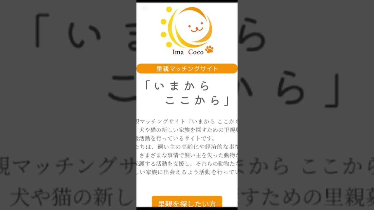 里親募集サイトいまここ #cat #保護猫 #子ネコ #子猫 #マッチングアプリ #猫のいる暮らし #応援お願いします
