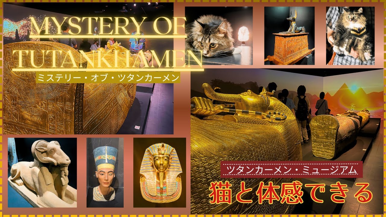 【猫旅＆ドライブ】《ツタンカーメン・ミュージアム》に、猫を連れて行ってみた😺横浜市みなとみらい／【利栗の風色】SPIN OFF37／2025.8.7