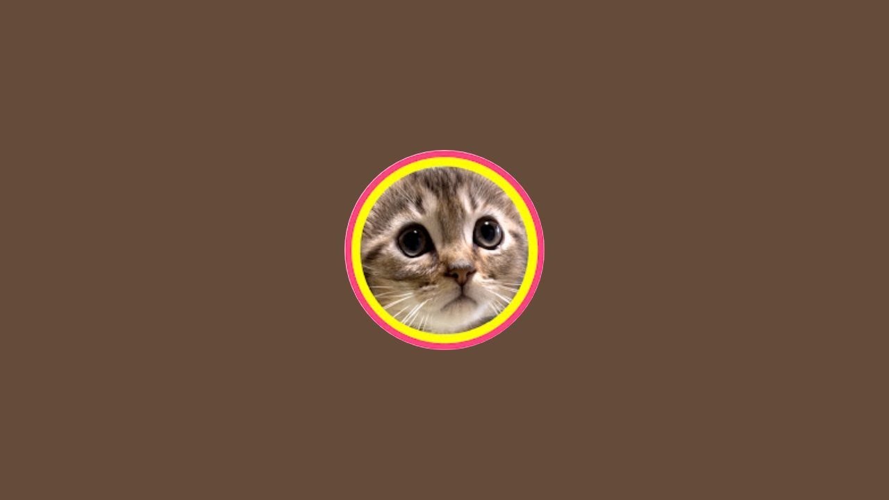 大きくなれない子猫と、4倍大きくなった子猫 がライブ配信中！