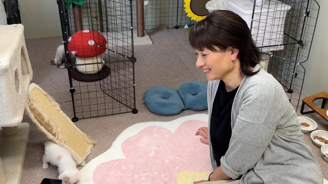 子猫と昼寝中の保育園に突撃してみました