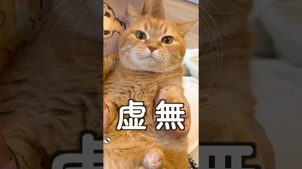 虚無虚無プリン発動で無双するプリン