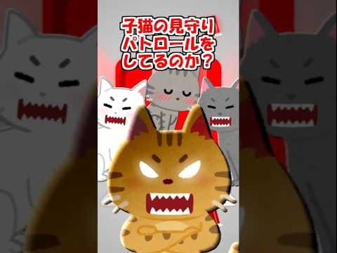 【2ch】夜道で子猫を見つけたら、背後に気配が…【アニマル】 #Shorts