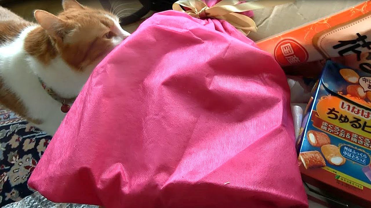 日本より猫のおやつ＆私のプレゼント第2便が届きました！