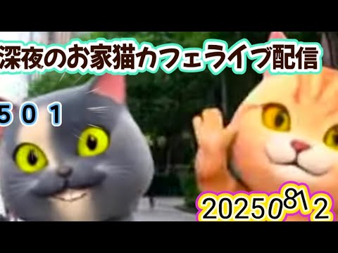 深夜のお家猫カフェライブ配信 ５０１