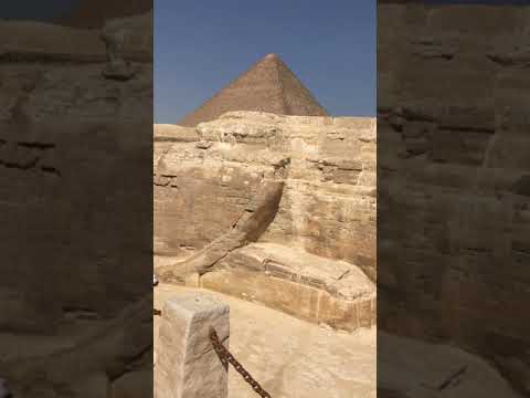 大スフィンクス①🇪🇬【ギザ】 #shorts