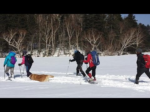 オンネトー湖上　夏と違った景色　スノーシューで散策