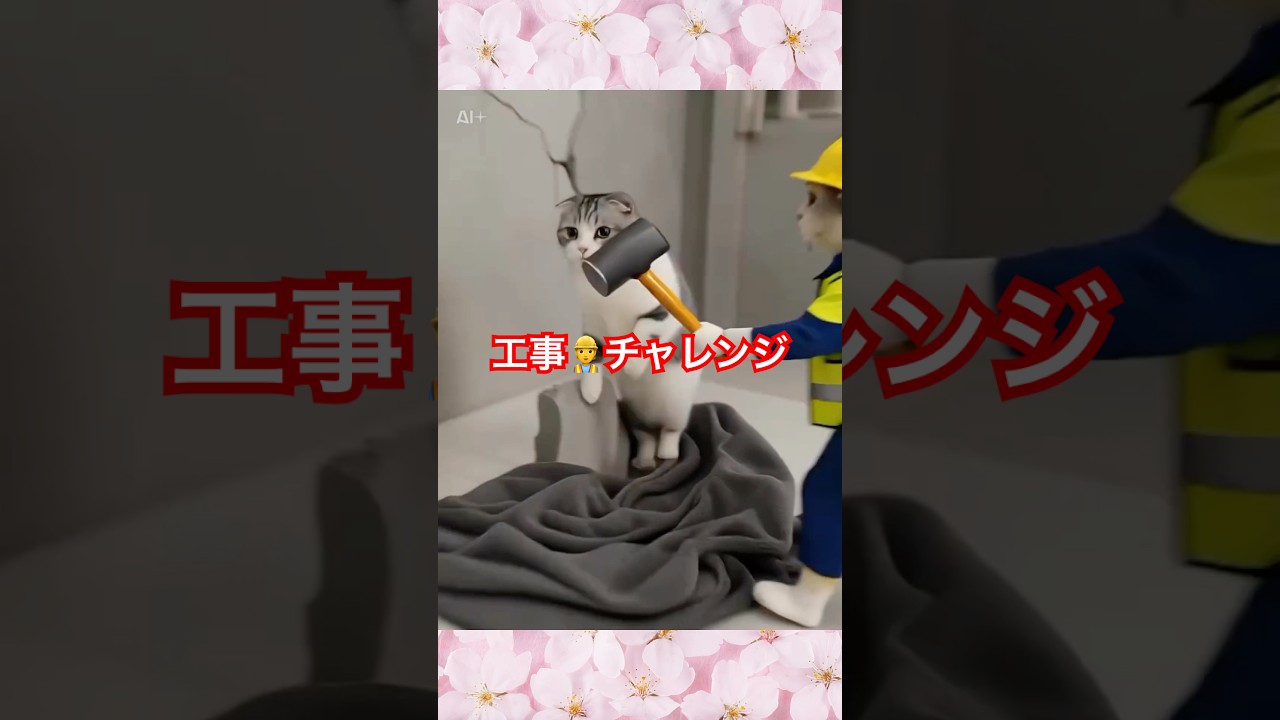【工事👷チャレンジ】スコティッシュフォールドちゃん#AI猫  #猫 #ねこ #cute #cat