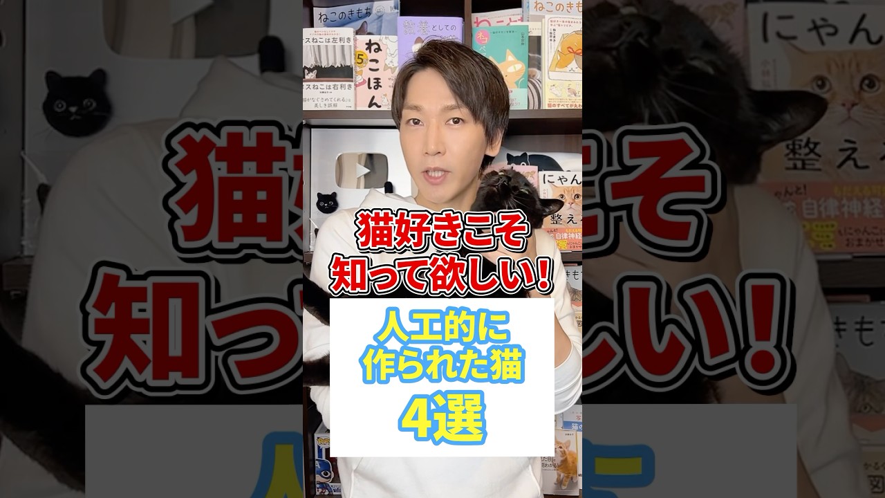 猫好きこそ知って欲しい！人工的に作られた猫４選 #猫 #猫好き #ねこ