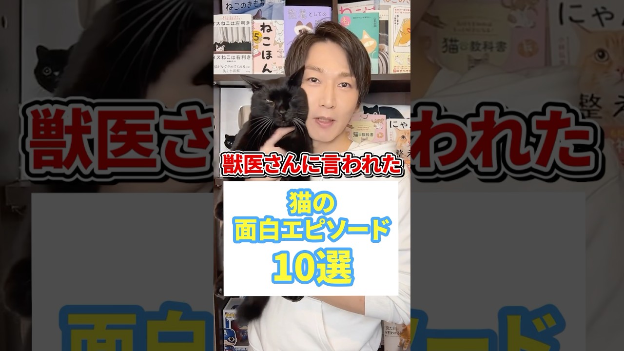 獣医さんに言われた面白エピソード10選 #猫 #猫好き #ねこ