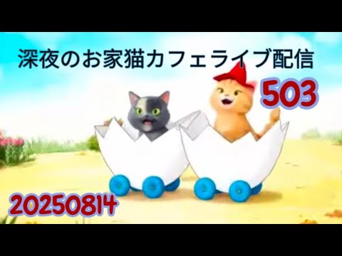 深夜のお家猫カフェライブ配信 ５０３