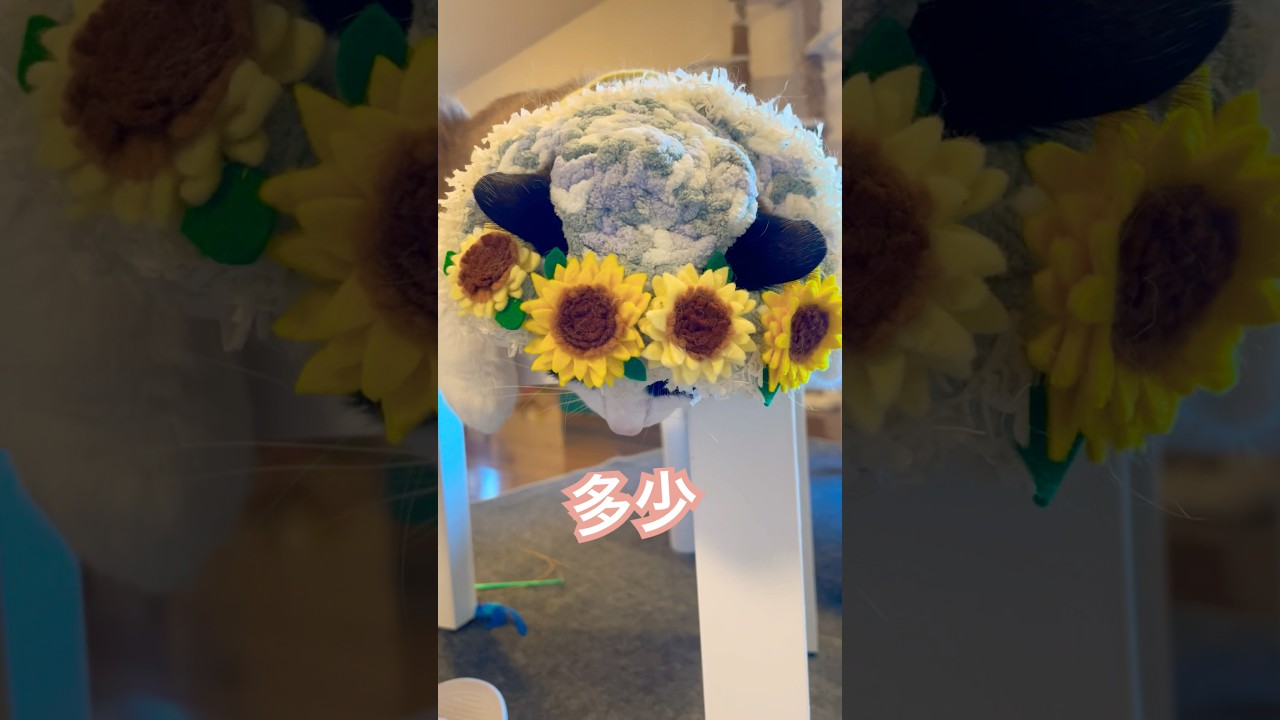 多少違和感があっても気にしてたら猫をやってらんにゃい #ねこ動画 #shorts