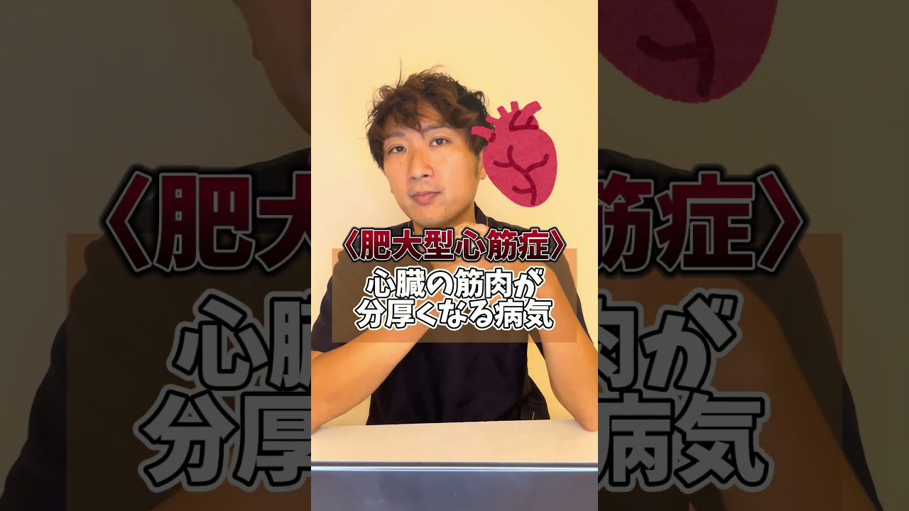 ラグドールってどんな猫？ #動物病院#獣医師