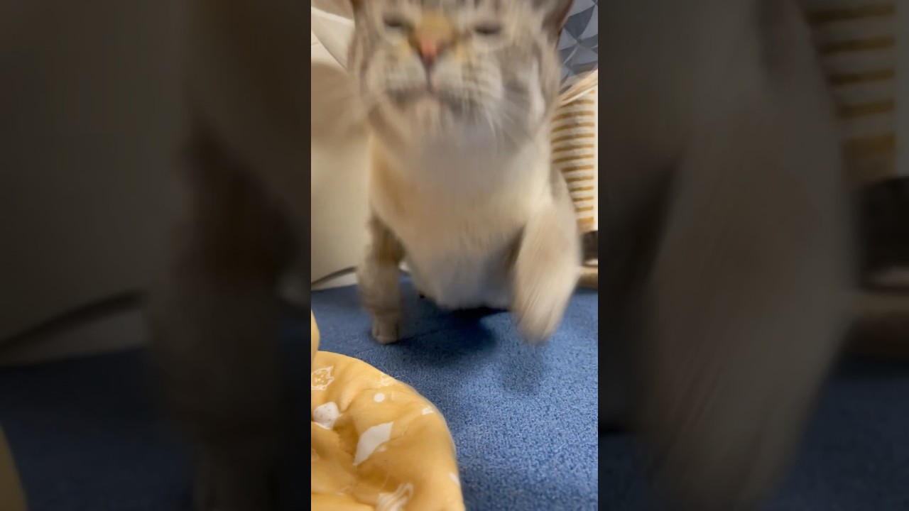 く、来るッ！！！うわぁあぁぁあ！！！！