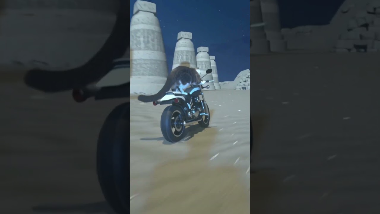 猫ツーリング in エジプト_我が家の猫のイズモさん | My Cat Izumo’s Motorcycle Adventure in Egypt