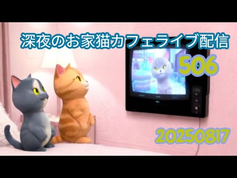 深夜のお家猫カフェライブ配信５０６