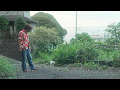 【ジャパニーズ・ボブテイル】伊豆、熱海、相模灘、海岸、里山、いつもの散歩道。とても賢いジャパニーズ・ボブテイルのゆきちゃん。#熱海 #猫のいる暮らし #保護猫 #野良猫 #伊豆