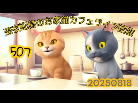 深夜のお家猫カフェライブ配信 ５０７