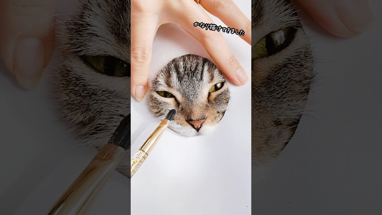 猫の絵がヤラセを疑われてしまったので描く過程を公開します･･･ #猫