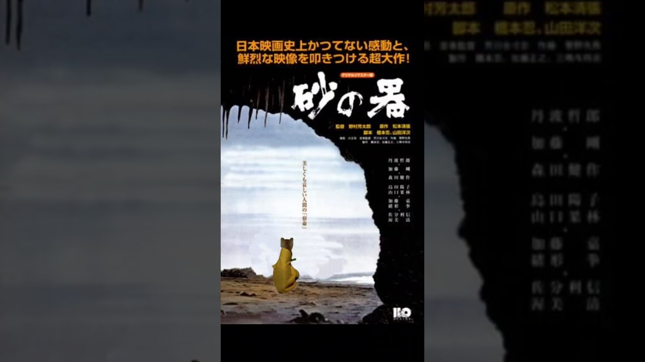 茶トラ子猫、旅路の果てにー #猫 #子猫 #ネコ #茶トラ #まるどら #猫動画 #cat