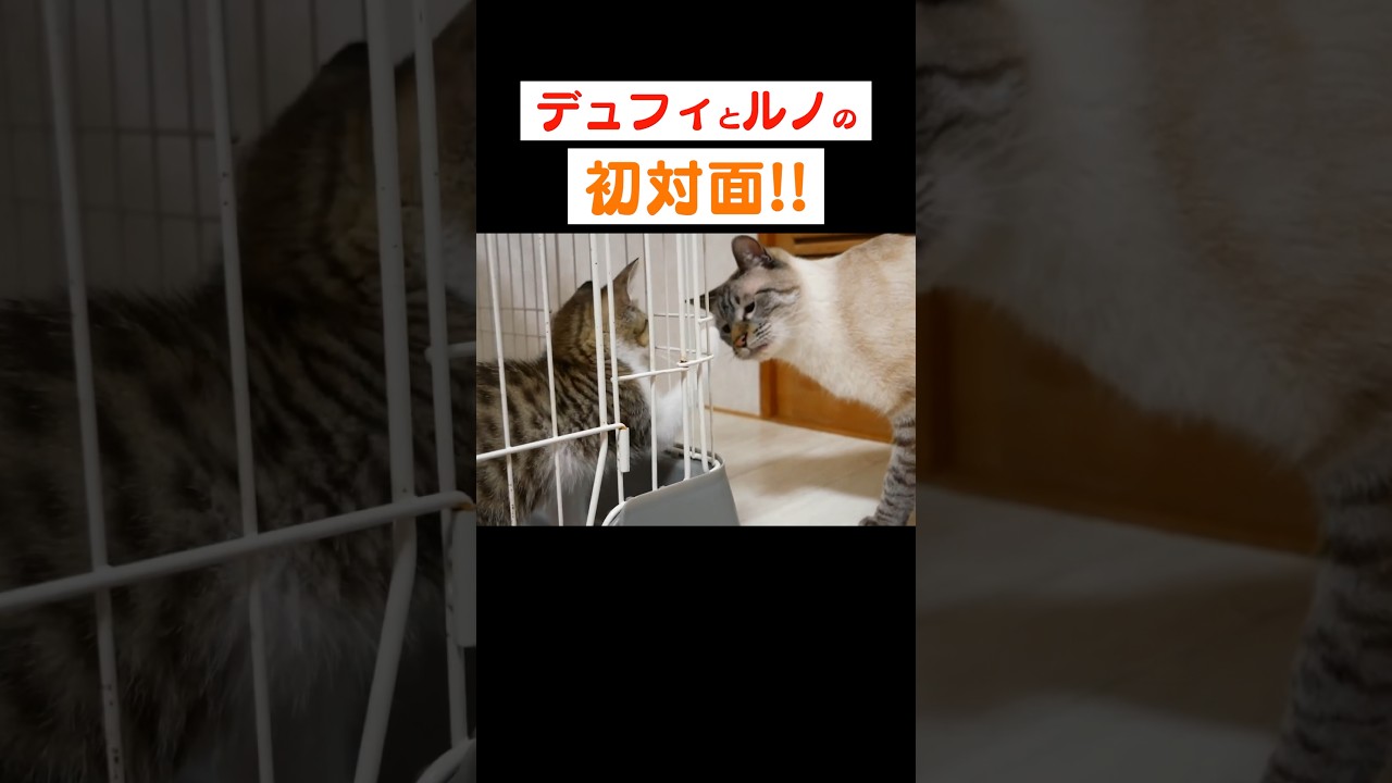 ドキドキの初対面は意外な反応でした…！