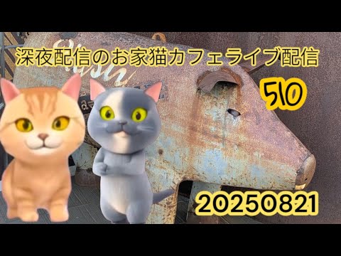 深夜のお家猫カフェライブ配信 ５１０