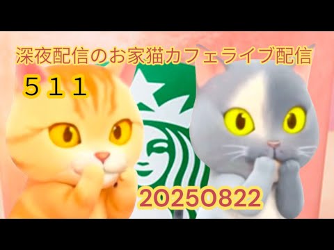深夜のお家猫カフェライブ配信 ５１１
