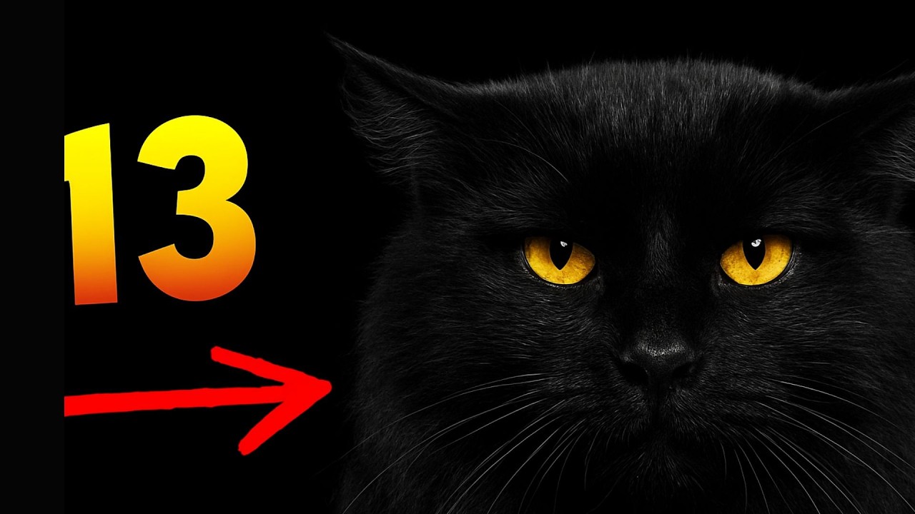 Most Beautiful Black Cat Breeds | The Elegance of Midnight Fur | #BlackCats #CatLovers