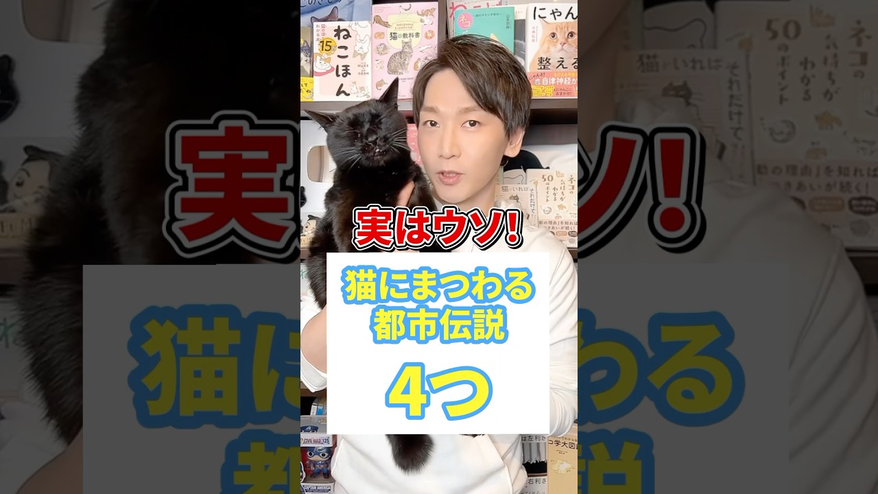 実はウソ！猫にまつわる都市伝説４つ #猫 #猫のいる暮らし #ねこ