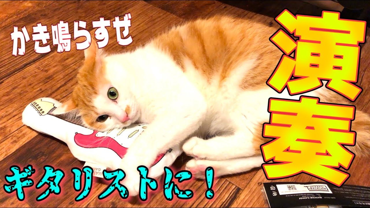 ギターを蹴りながら演奏するニックがロックすぎたwww