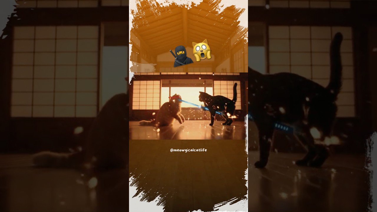 Ever witnessed the way of the warrior… cat? 🐈‍⬛⚔️ #SamuraiCat #EpicCat #CinematicCat #WarriorCat