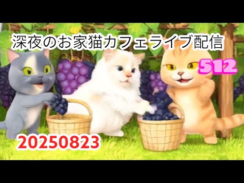 深夜のお家猫カフェライブ配信 ５１２